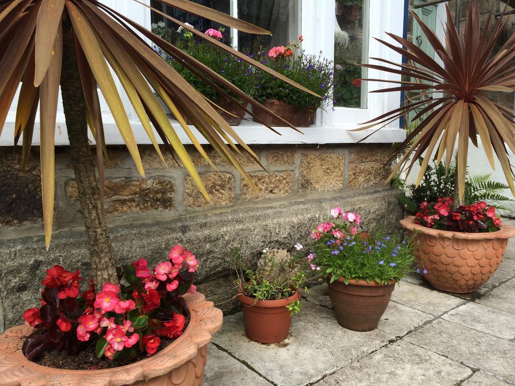 The Lynwood Guesthouse Penzance Exterior photo